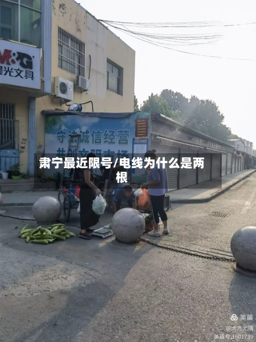 肃宁最近限号/电线为什么是两根-第2张图片