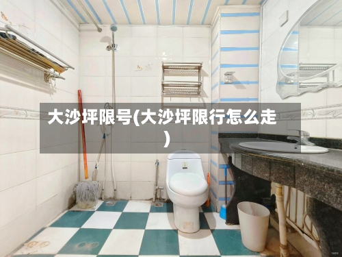 大沙坪限号(大沙坪限行怎么走)-第2张图片