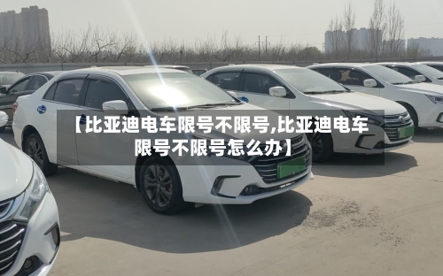 【比亚迪电车限号不限号,比亚迪电车限号不限号怎么办】