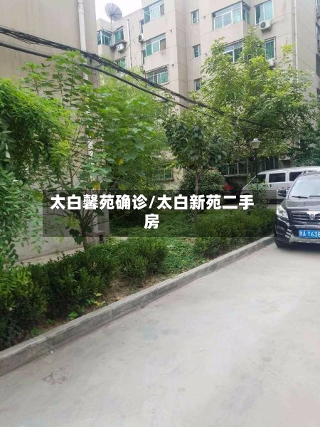 太白馨苑确诊/太白新苑二手房-第3张图片