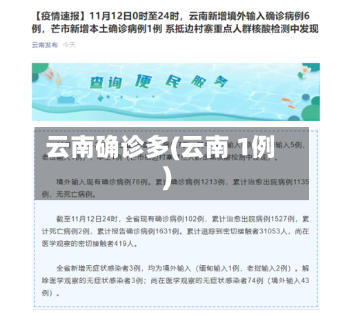 云南确诊多(云南 1例)-第2张图片