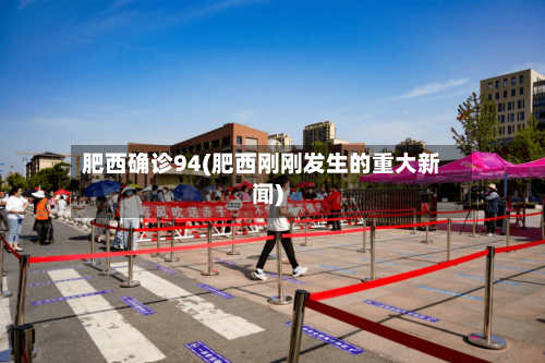 肥西确诊94(肥西刚刚发生的重大新闻)-第3张图片