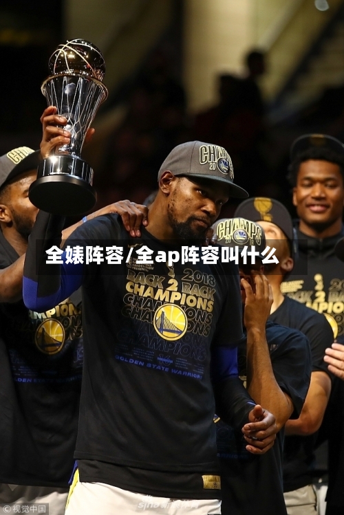 全婊阵容/全ap阵容叫什么