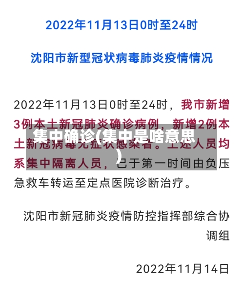 集中确诊(集中是啥意思)-第2张图片
