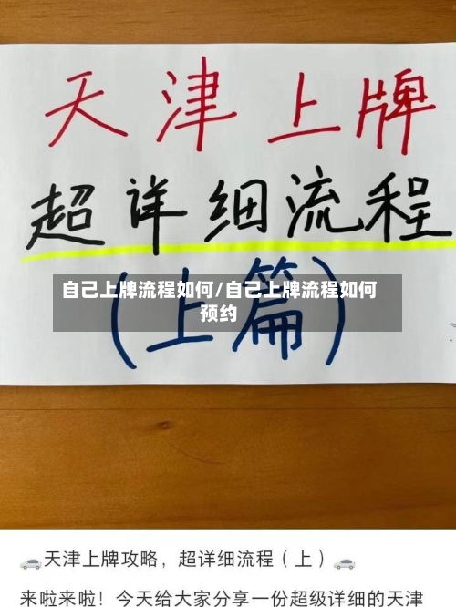 自己上牌流程如何/自己上牌流程如何预约-第3张图片
