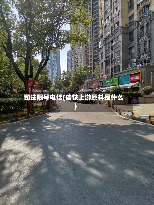 司法限号电话(硅铁上游原料是什么)-第3张图片