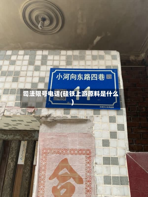 司法限号电话(硅铁上游原料是什么)-第2张图片