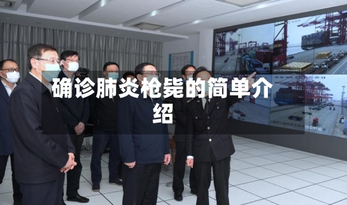 确诊肺炎枪毙的简单介绍-第3张图片
