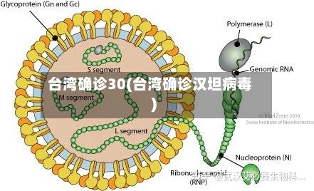 台湾确诊30(台湾确诊汉坦病毒)