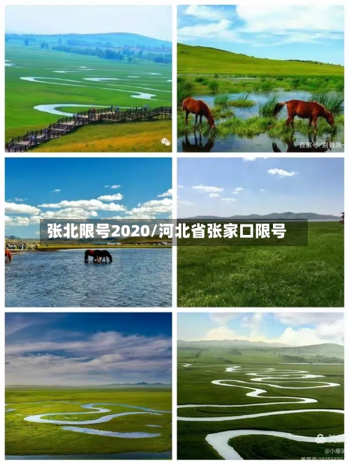 张北限号2020/河北省张家口限号