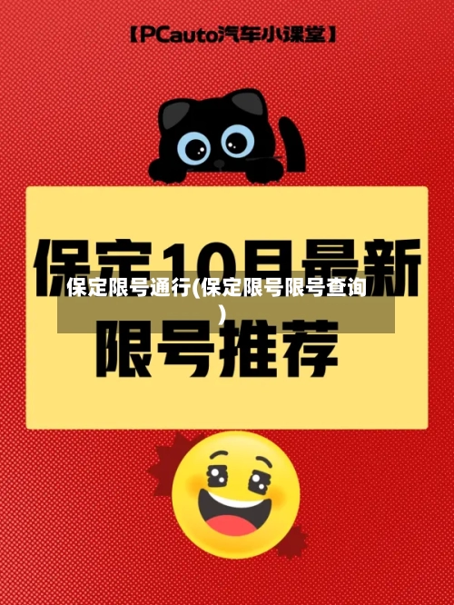 保定限号通行(保定限号限号查询)