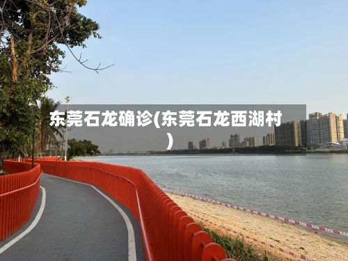东莞石龙确诊(东莞石龙西湖村)