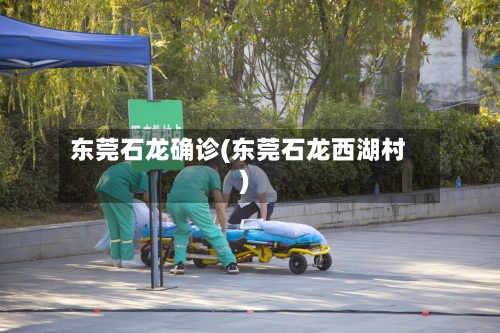 东莞石龙确诊(东莞石龙西湖村)-第2张图片