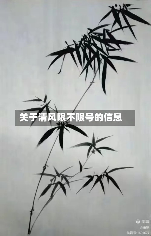 关于清风限不限号的信息