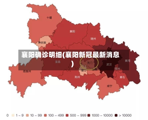 襄阳确诊明细(襄阳新冠最新消息)-第2张图片
