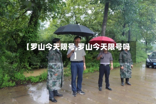 【罗山今天限号,罗山今天限号吗】-第3张图片