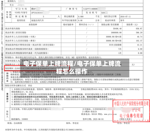 电子保单上牌流程/电子保单上牌流程怎么操作