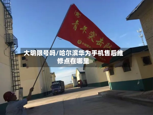 大明限号吗/哈尔滨华为手机售后维修点在哪里-第3张图片