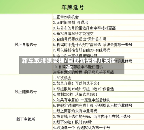 新车取牌照流程/自取新车牌几天能拿-第2张图片