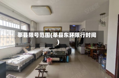 莘县限号范围(莘县东环限行时间)