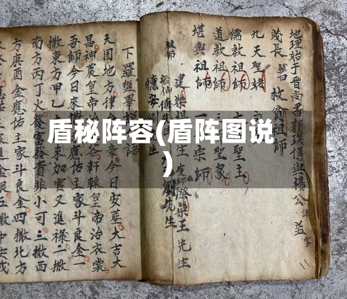 盾秘阵容(盾阵图说)
