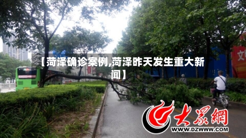 【菏泽确诊案例,菏泽昨天发生重大新闻】