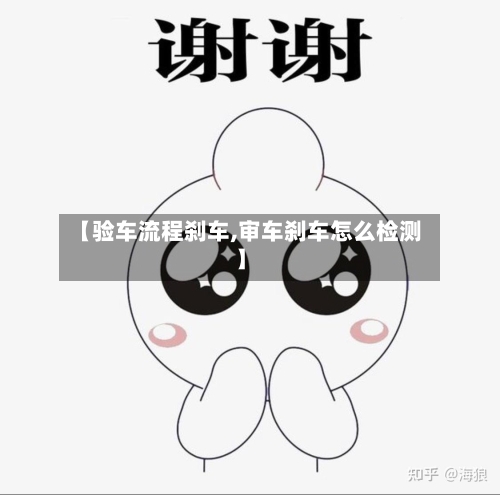 【验车流程刹车,审车刹车怎么检测】