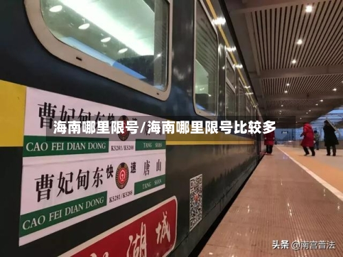 海南哪里限号/海南哪里限号比较多