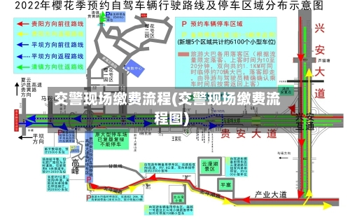 交警现场缴费流程(交警现场缴费流程图)-第2张图片