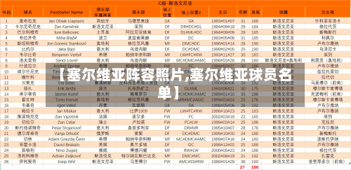 【塞尔维亚阵容照片,塞尔维亚球员名单】-第3张图片