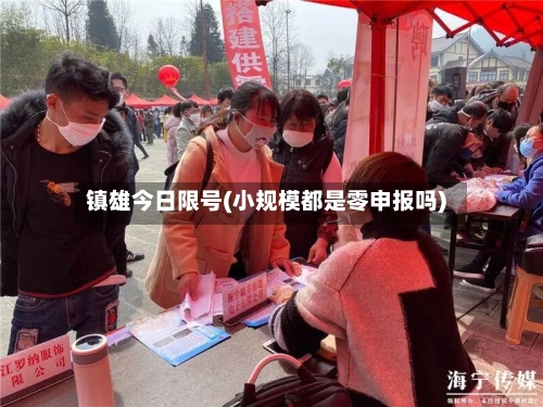 镇雄今日限号(小规模都是零申报吗)