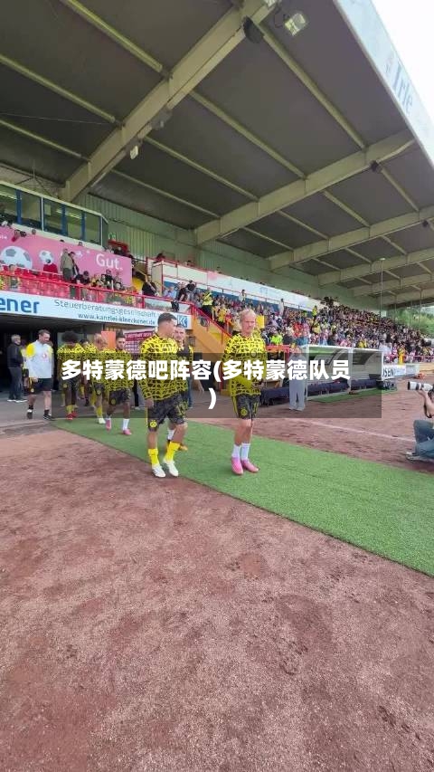 多特蒙德吧阵容(多特蒙德队员)-第2张图片