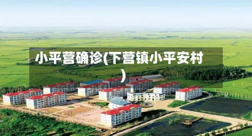小平营确诊(下营镇小平安村)