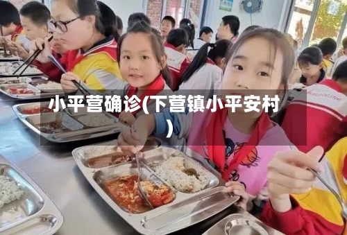 小平营确诊(下营镇小平安村)-第3张图片