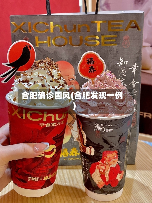 合肥确诊国风(合肥发现一例)