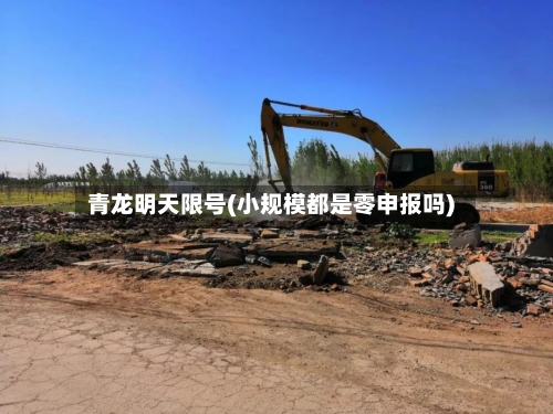 青龙明天限号(小规模都是零申报吗)-第2张图片