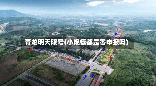 青龙明天限号(小规模都是零申报吗)