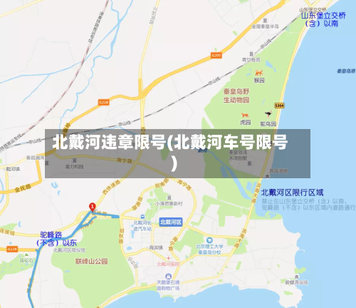 北戴河违章限号(北戴河车号限号)-第3张图片