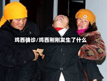 鸡西确诊/鸡西刚刚发生了什么