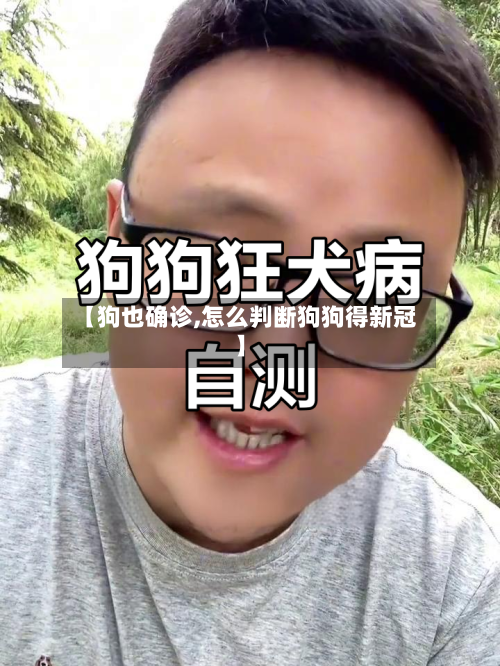 【狗也确诊,怎么判断狗狗得新冠】