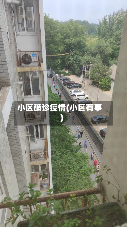 小区确诊疫情(小区有事)-第2张图片
