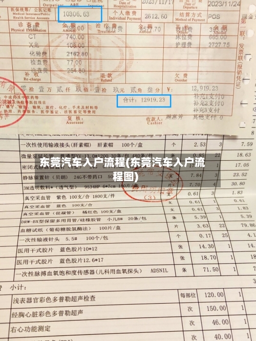 东莞汽车入户流程(东莞汽车入户流程图)-第2张图片