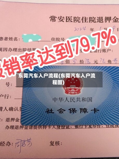 东莞汽车入户流程(东莞汽车入户流程图)