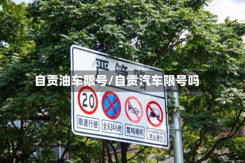 自贡油车限号/自贡汽车限号吗-第2张图片