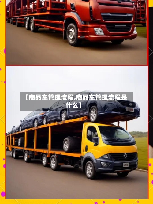 【商品车管理流程,商品车管理流程是什么】