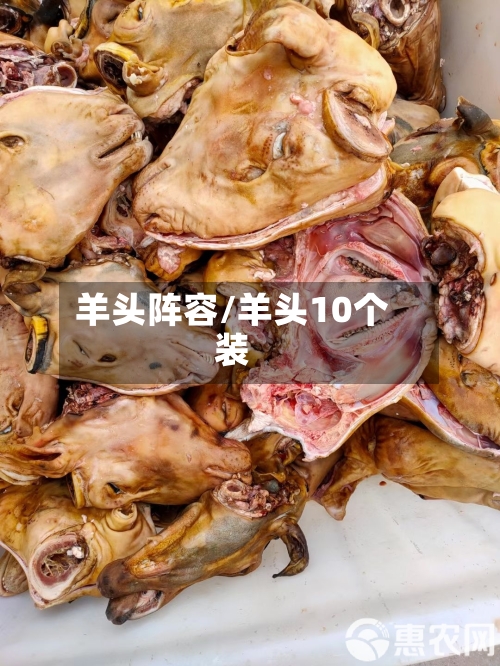 羊头阵容/羊头10个装-第3张图片
