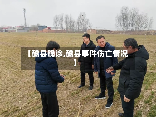 【磁县确诊,磁县事件伤亡情况】-第3张图片