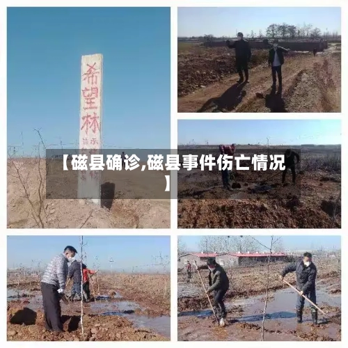 【磁县确诊,磁县事件伤亡情况】-第2张图片