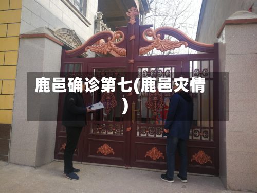 鹿邑确诊第七(鹿邑灾情)-第2张图片