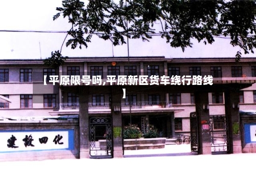 【平原限号吗,平原新区货车绕行路线】-第3张图片